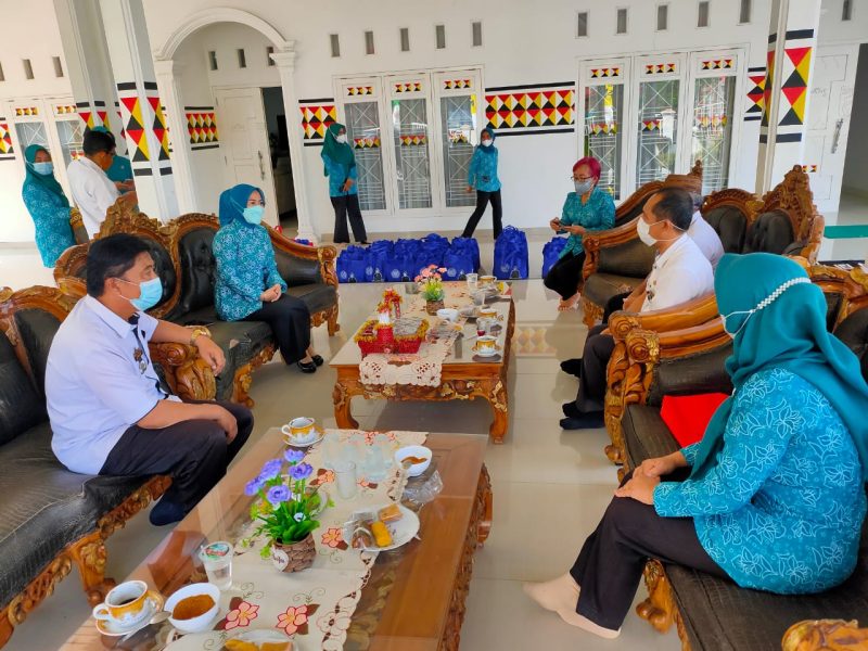 Ketua TP-PKK Tanggamus Serahkan Bantuan untuk Warga yang Isoman. Ist