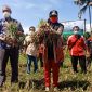 Bupati Dewi Handajani Panen Bawang Merah di Kecamatan Sumberejo. Ist