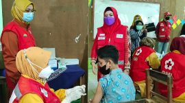 Bupati Tanggamus Tinjau Kegiatan Gebyar Vaksinasi Covid - 19 PMI di Pekon Lanbaw. Ist