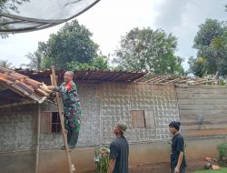 Kebersamaan Babinsa Kedondong Dalam Gotong-Royong Bongkar Rumah Tidak Layak Huni