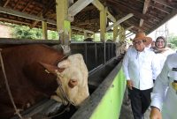 Kunjungan Pj Gubernur ke Kandang Sapi Disnakeswan  