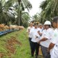 Pj Gubernur Lampung Tinjau Peternakan Sapi di Lampung Utara 