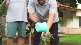 Lestarikan Alam dengan Menanam Pohon