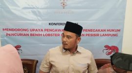 Wahrul Fauzi Silalahi