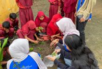 Program kerja berupa penanaman apotek hidup di lingkungan SDN Pamulihan, yang dilakukan oleh Mahasiswa KKN Unila.