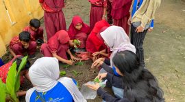 Program kerja berupa penanaman apotek hidup di lingkungan SDN Pamulihan, yang dilakukan oleh Mahasiswa KKN Unila.