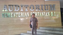 Oplus_131072