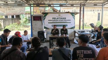 DPW HIPPAPI Lampung Gelar Pelatihan Penjurian Ayam Pelung, Tingkatkan Kompetensi Juri dan Peternak