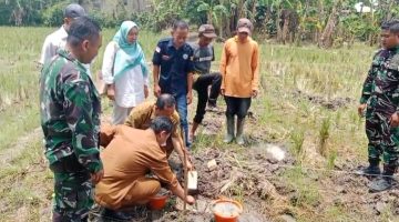 BUMDes Mekar Jaya Kertasana Resmi Bangun Kandang Ayam Petelur, Dukung Ketahanan Pangan Desa