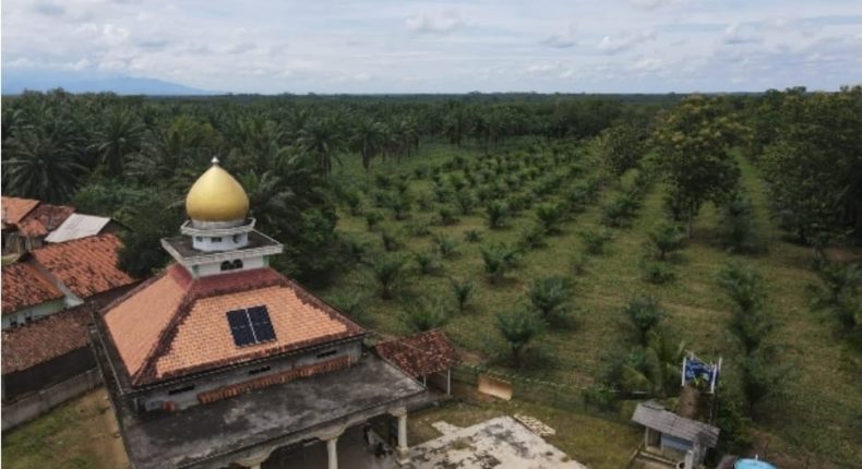 foto slider headline